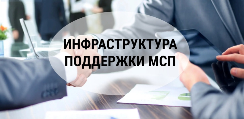 Инфраструктура поддержки малого и среднего предпринимательства