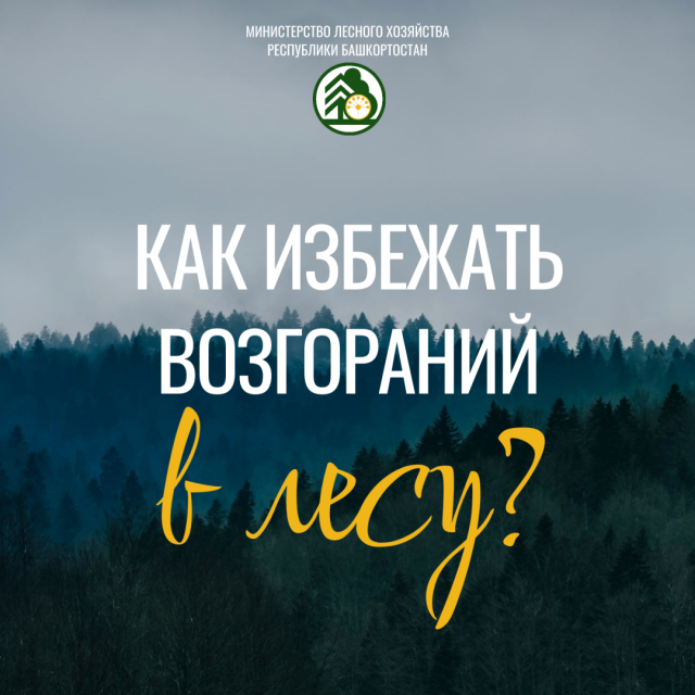 Памятка о том, как избежать возгораний в лесу