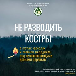 Памятка о том, как избежать возгораний в лесу