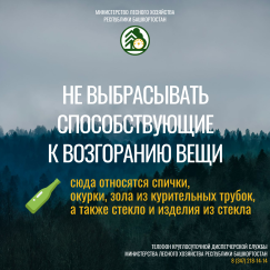 Памятка о том, как избежать возгораний в лесу