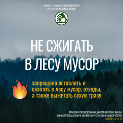 Памятка о том, как избежать возгораний в лесу