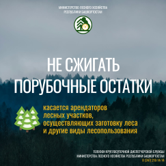 Памятка о том, как избежать возгораний в лесу