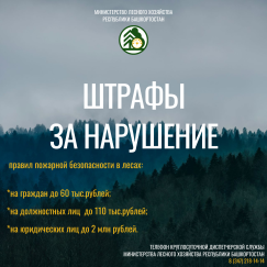 Памятка о том, как избежать возгораний в лесу