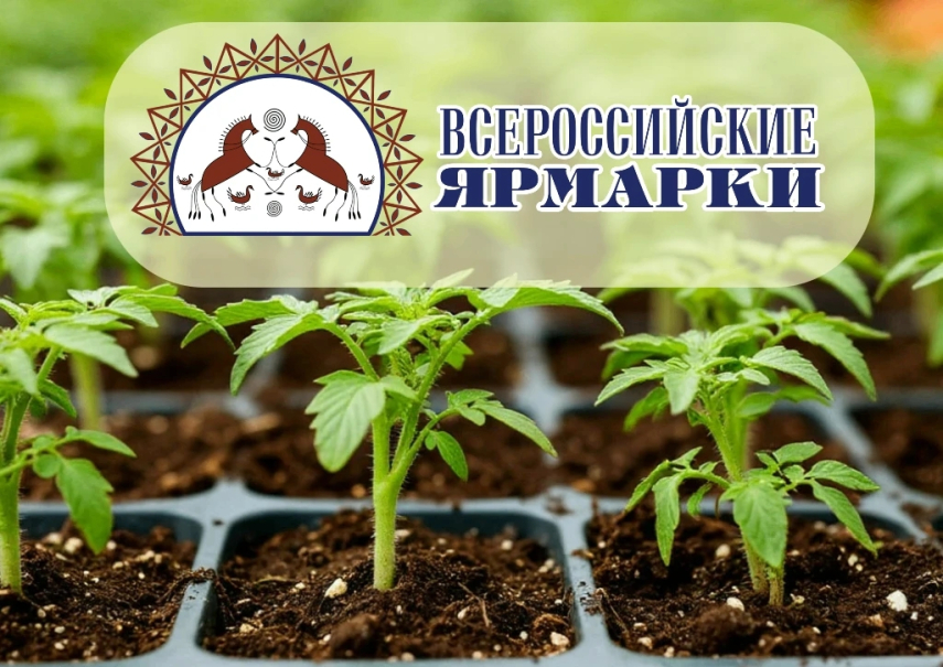    Уважаемые горожане и гости города!