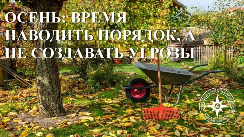  ️ОСЕНЬ: ВРЕМЯ НАВОДИТЬ ПОРЯДОК, А НЕ СОЗДАВАТЬ УГРОЗЫ