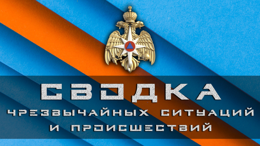Хроника происшествий