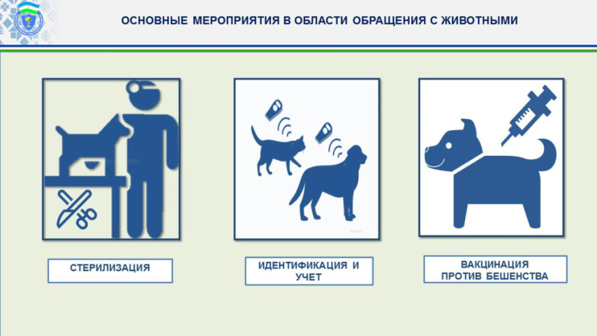Стерилизация животных —социальная необходимость!