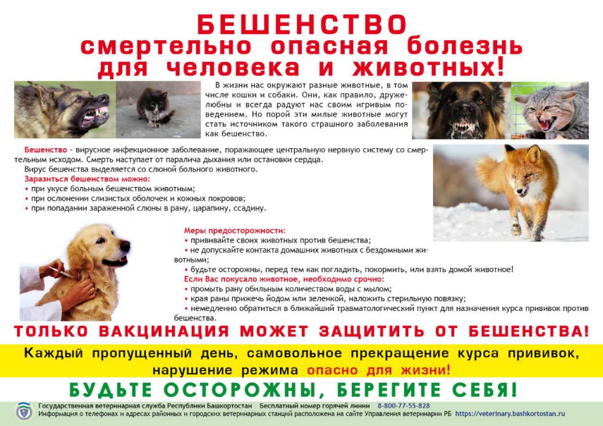 Памятка "Вакцинация может защитить от бешенства"