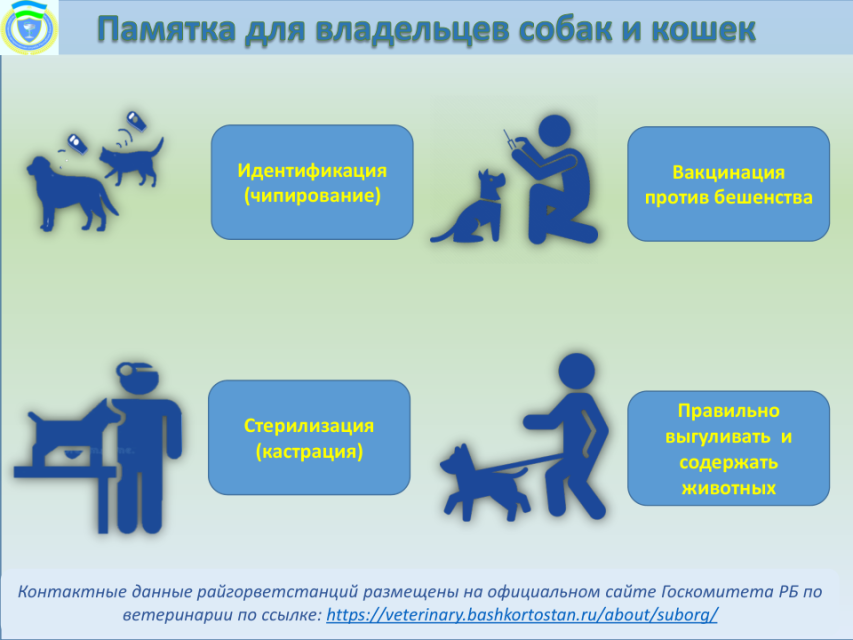Памятка для владельцев домашних животных